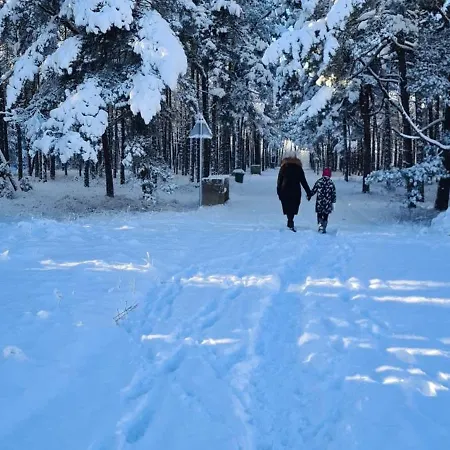 דירה J&d Vanagupes Apartamentai *