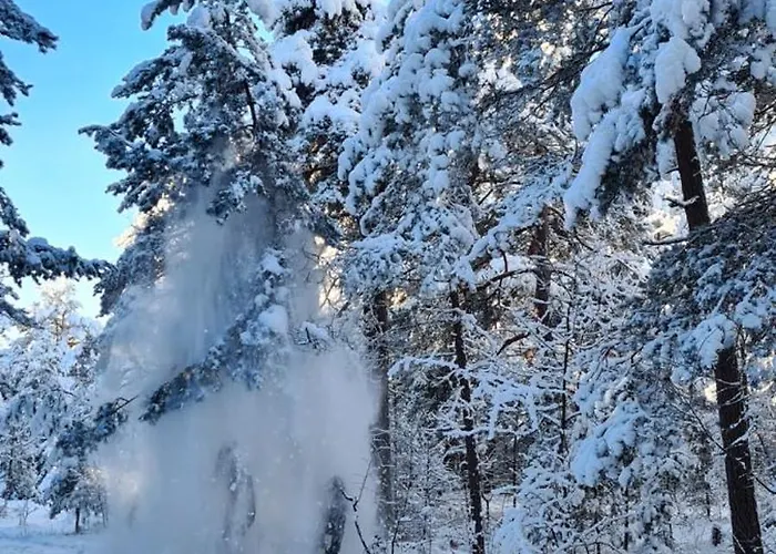 Apartman J&d Vanagupes Apartamentai *